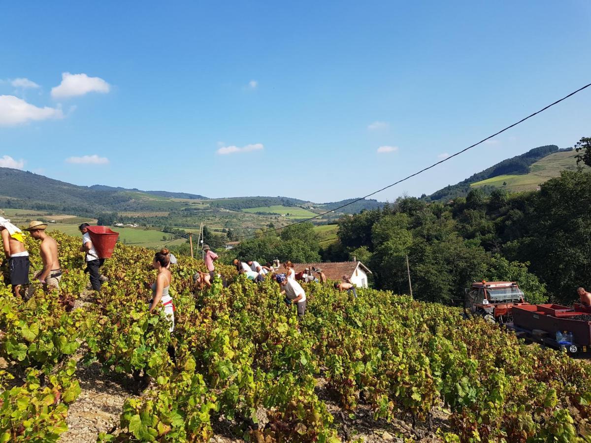 Willa Ancien Cuvage Du Beaujolais - Studio Tout Confort Saint-Didier-sur-Beaujeu Zewnętrze zdjęcie